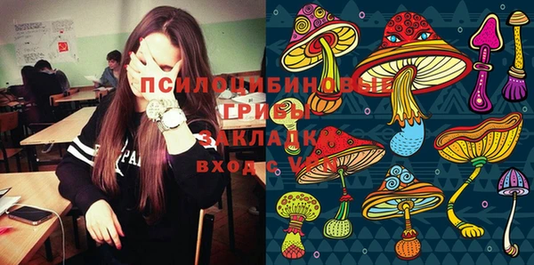 гидропоника Алзамай