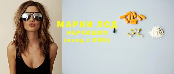 гидропоника Алзамай