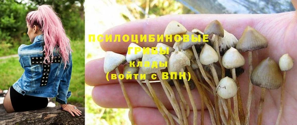 гидра Алексин