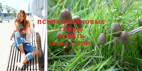 гидропоника Алзамай